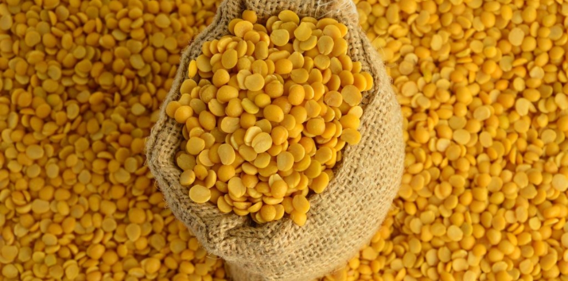 Yellow Pigeon Peas